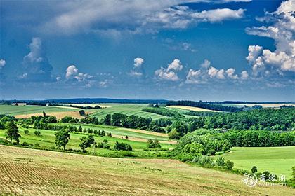属马的颜色最吉利