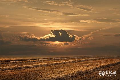 水兔男八月是什么命运
