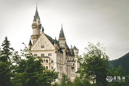 2024年属鸡大爆发