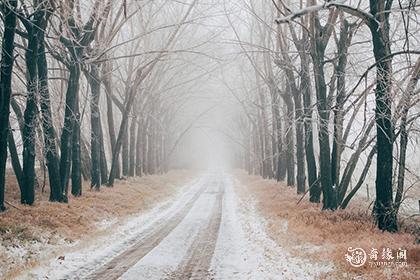 什么生肖最怕冷