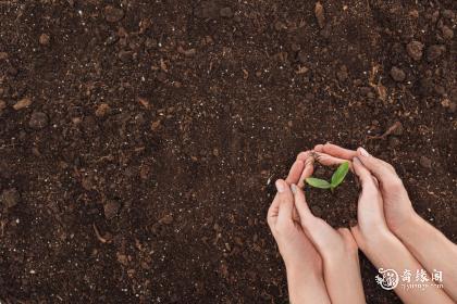 女孩带宸字的含义