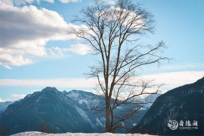 鼠和蛇在一起对谁不利
