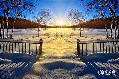 2024年运势最好的五大生肖