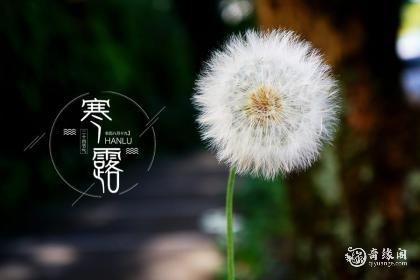 扬州寒露时节吃什么食物