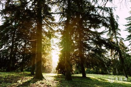 女孩带萱高雅有涵养的名字有哪些