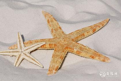 2024姻缘最旺的生肖男