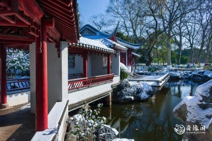 杭州小雪吃什么