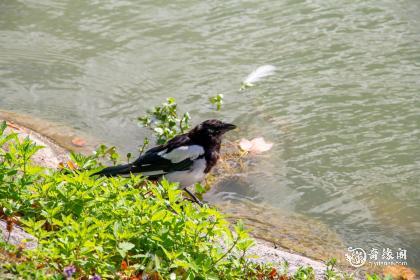 女孩带梓好听名字大全