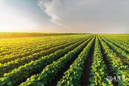 女孩带宸的好听的名字大全