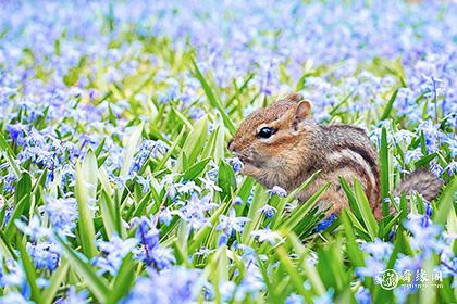 水兔男七月是什么命运