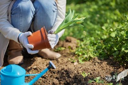 女孩带宸字的名字