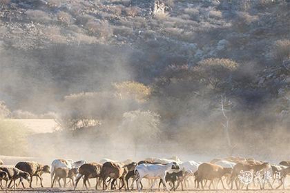 2022年12月养殖吉日