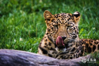 十月虎宝宝出生好不好