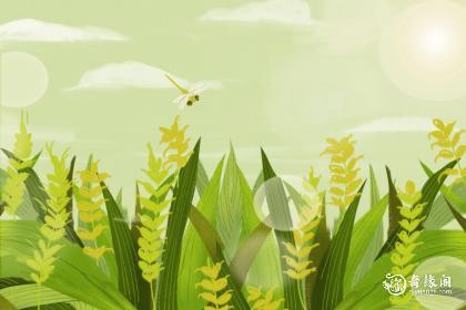 92年5月22日是什么命