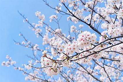 92年3月3日是什么命