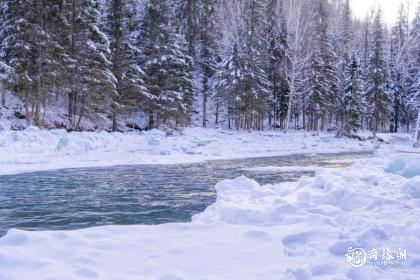 惠州冬至吃什么食物