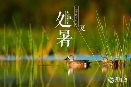 四川处暑吃什么