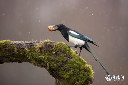 化解丧门星最简单的方法