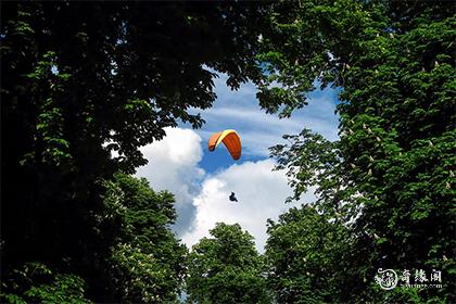 水兔男十月是什么命运