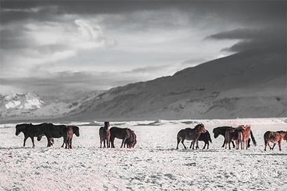 2023年1月养殖吉日