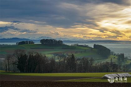 2024年遇真爱的生肖