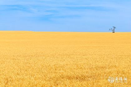 八月虎宝宝出生好不好