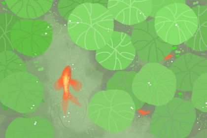 坎为水变泽水困看事业这个时候变动好吗