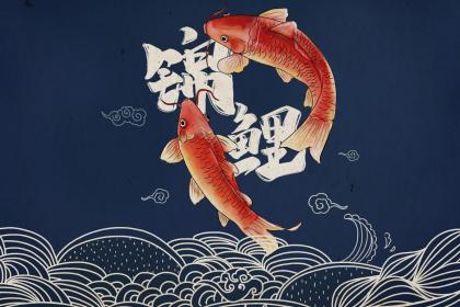 猫头鹰飞到家里预示着什么 带来的好运