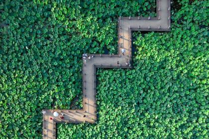 为什么大暑最热