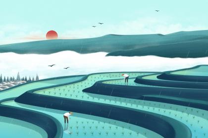 为什么谷雨前后适合播种