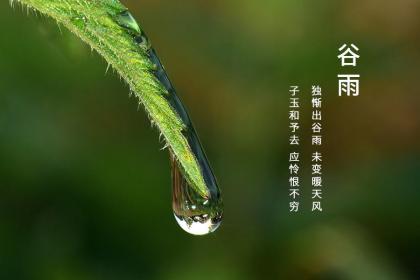 天津谷雨吃什么 谷雨有什么来历
