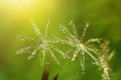 无锡惊蛰吃什么 这天需要注意什么