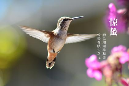 威海惊蛰吃什么 这天为啥要打小人