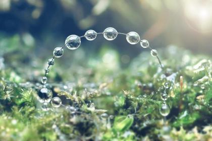 宁波惊蛰当天吃什么 有哪些习俗