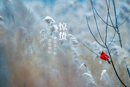 苏州惊蛰这天吃什么 有哪些传统