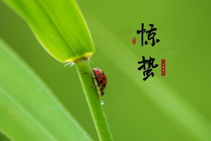 绍兴惊蛰这天吃什么 不能动针线吗