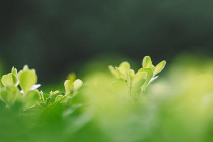 十一月十五有什么禁忌寓意和说法