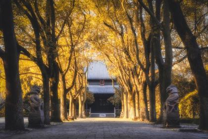 浙江立秋吃南瓜饼吗 浙江立秋的风俗