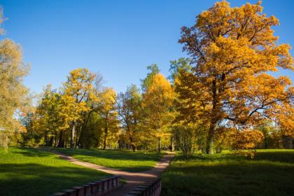 宣城立秋吃什么 安徽各地中秋风俗