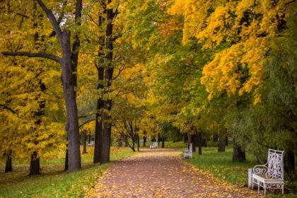 盐城立秋风俗摸秋吗 摸秋的习俗来源