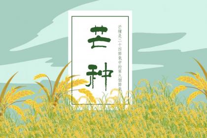 为什么芒种不能种地