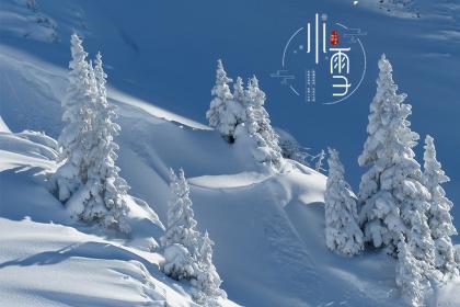 广东小雪吃什么 广东地区的特色饮食习俗