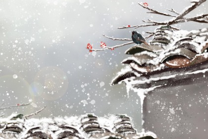 为什么雨水节气要补血