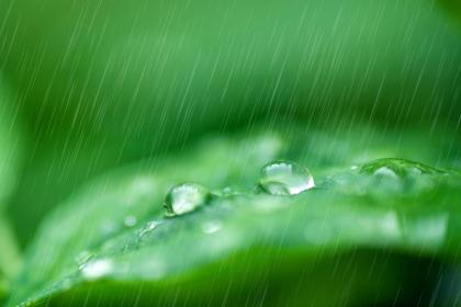 为什么清明节下雨