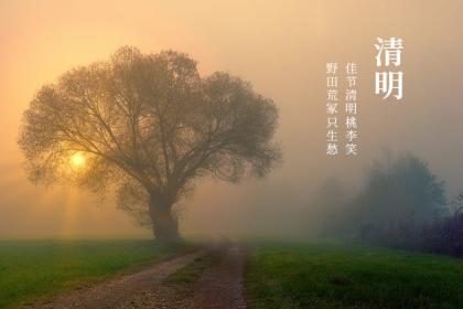 为什么小满是最接地气的节气