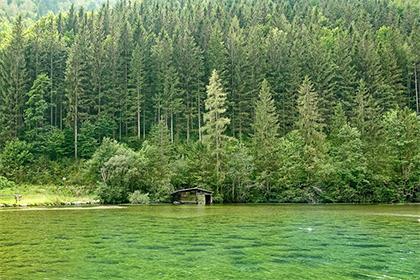 贵州正月初一是不是要倒着扫地,不能乱泼水