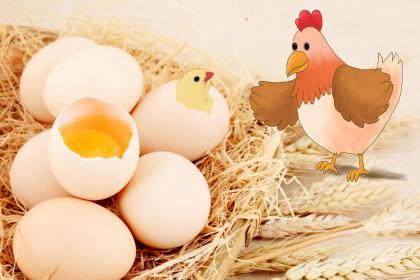 益阳正月十二吃煮鸡蛋吗 哪天要吃蛋