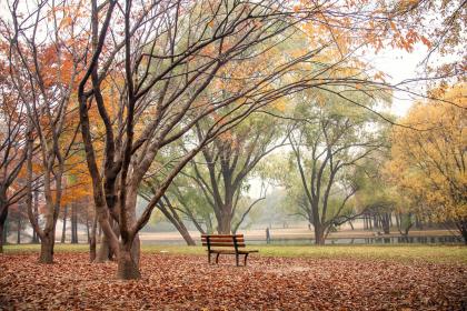 上海寒露吃什么 寒露时节的饮食习俗