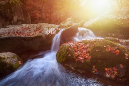 扬州立秋吃西瓜民俗 立秋的习俗解析
