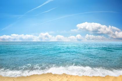 牛宝宝九月二十八